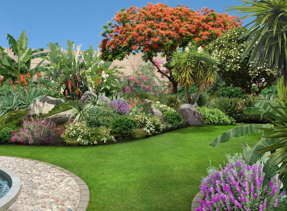 A garden in the desert